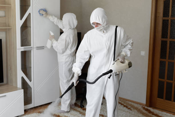 Best Mold Removal for HVAC Installations  in Drew, MS